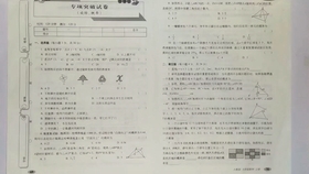 项易漠钟灵儿的奇幻之旅，最新章节探索