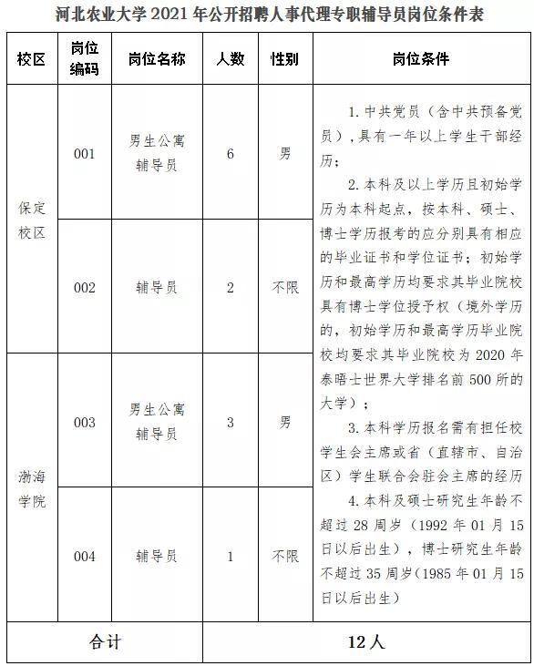 渤海新区官网最新招聘信息及解读速递