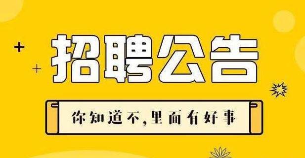 阳江招聘网最新招聘动态深度解析及职位推荐