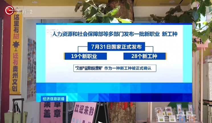 实地执行考察设计：2024新奥今晚开什么资料_AR版7.33.33