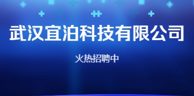 武汉招聘网最新招聘信息全面概览