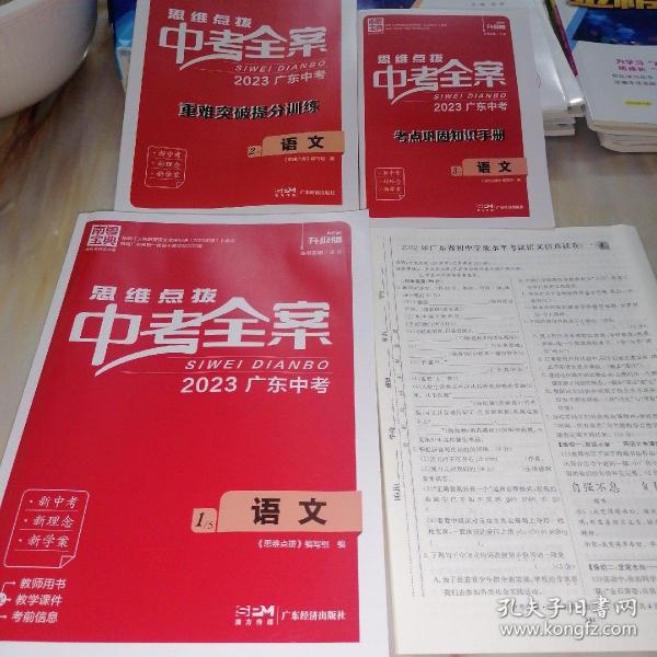 2021精准资料王中王,全局解答解释落实_苹果41.904