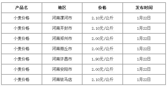 鸡犬不留 第19页