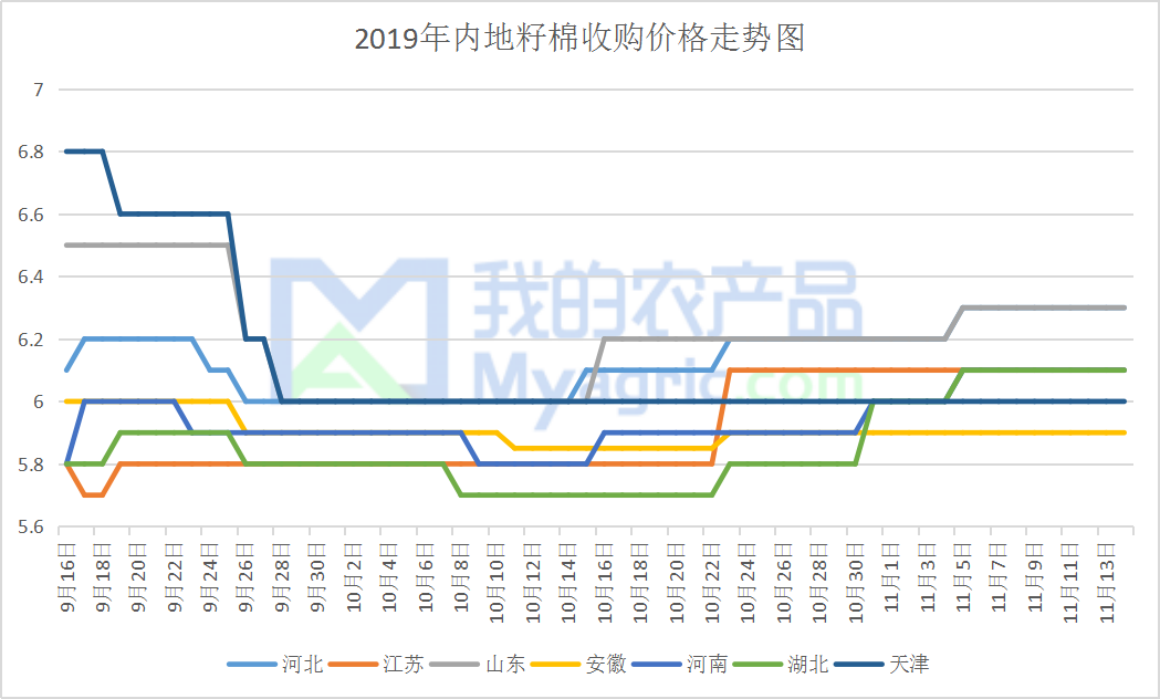 最新皮棉价格动态分析与趋势预测