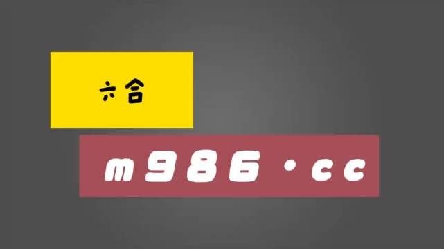 白小姐四肖四码100%准，准确资料解释落实_GM版75.69.52