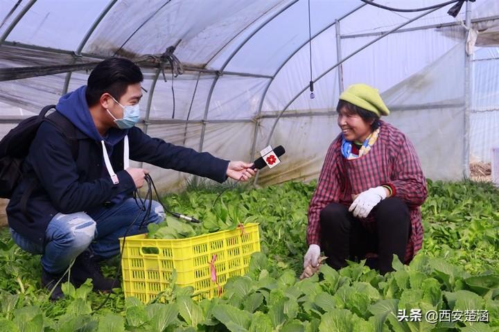 周至尚村镇最新新闻，拥抱自然，内心宁静之旅启程