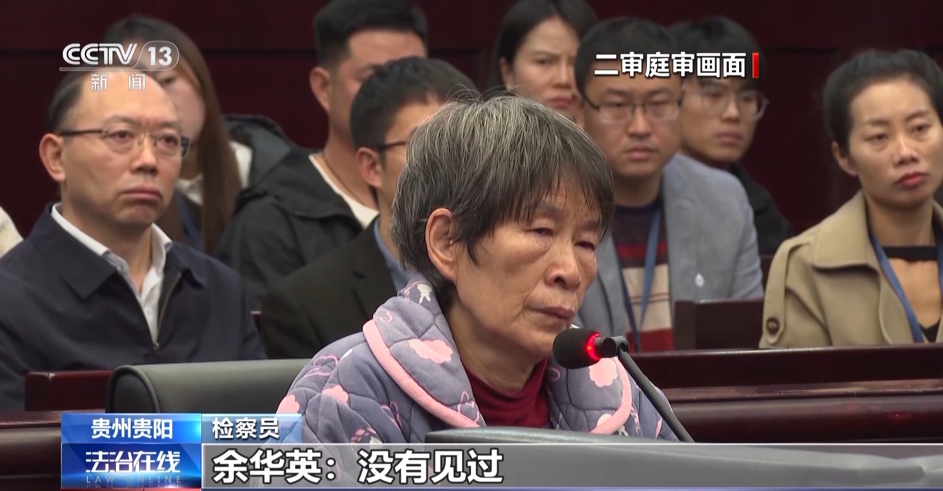 人贩子余华英获死刑，案件背后的警示与反思