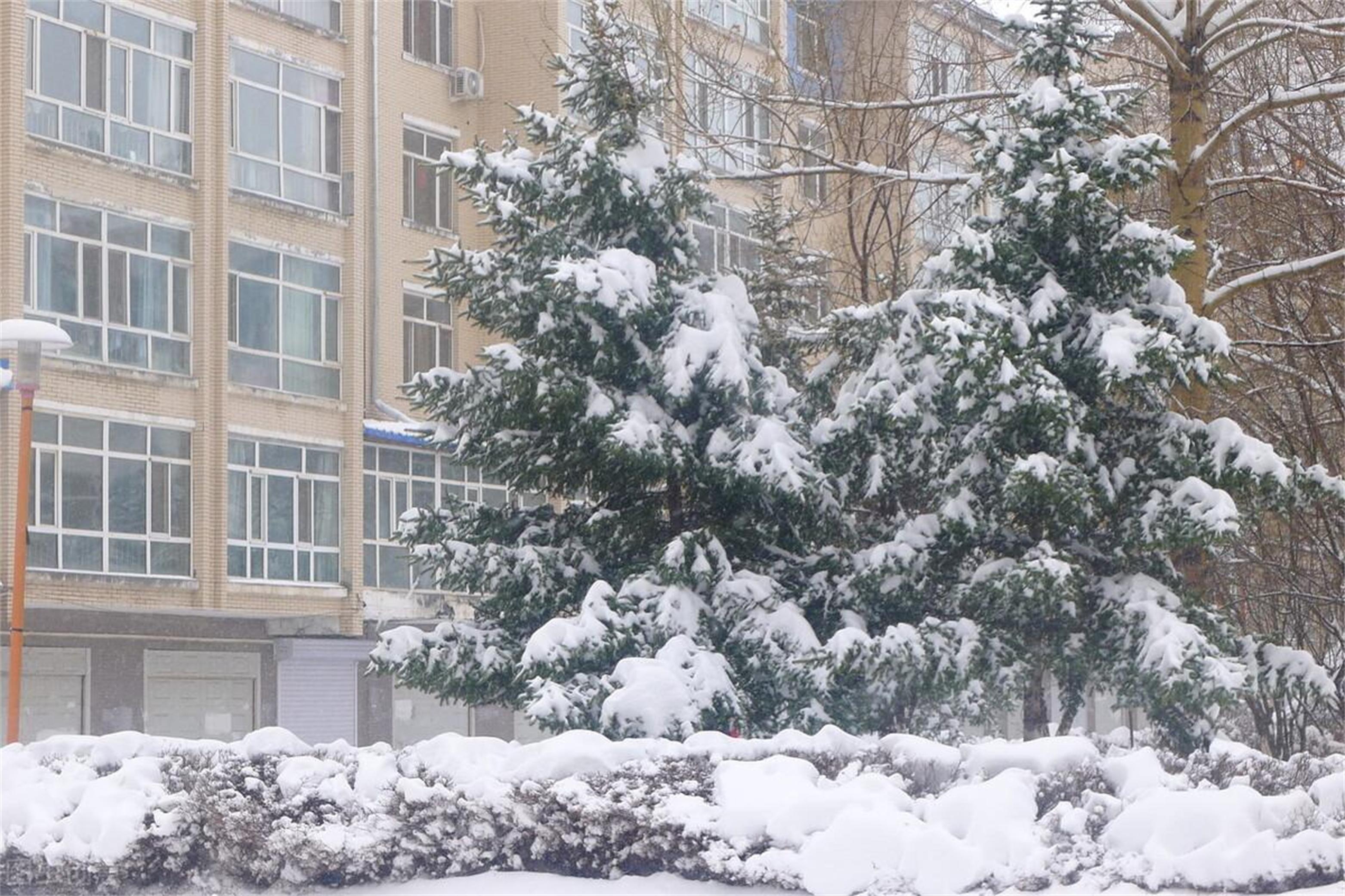 中东部地区雨雪纷飞大风降温，自然力量展现韵律与力量