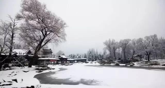 太原迎来史上最早初雪，穿越半个世纪的期盼