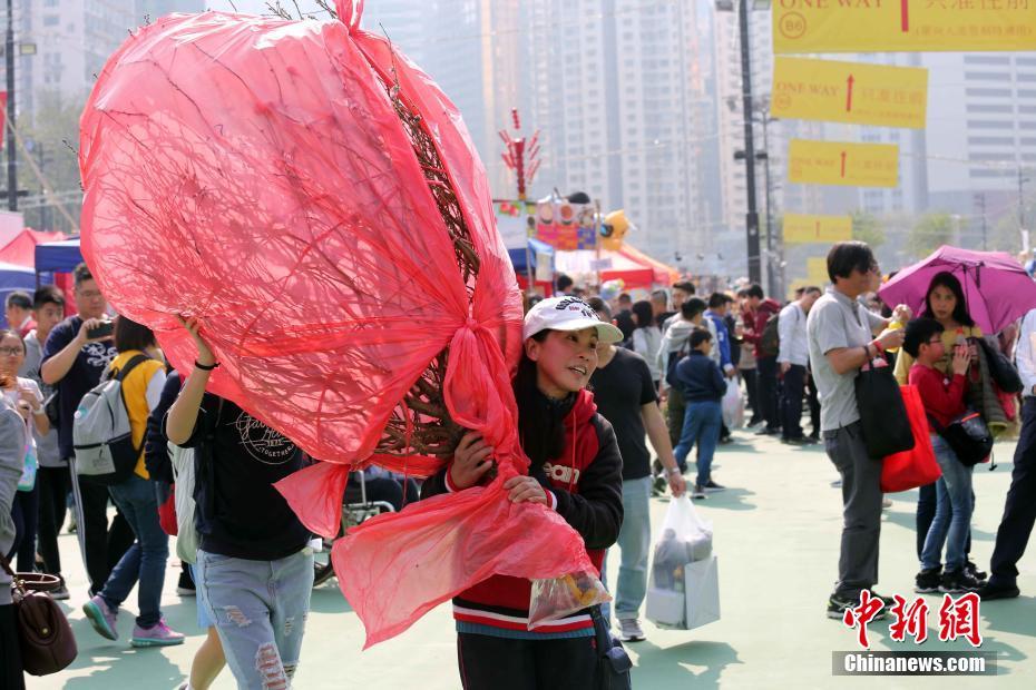 494949最快开奖结果+香港_“桂花经济”升温促消费,实地验证数据策略_扩展版91.86.93