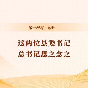 先锋资源_这两位县委书记 总书记思之念之,现状分析解释定义_专业款56.83.28