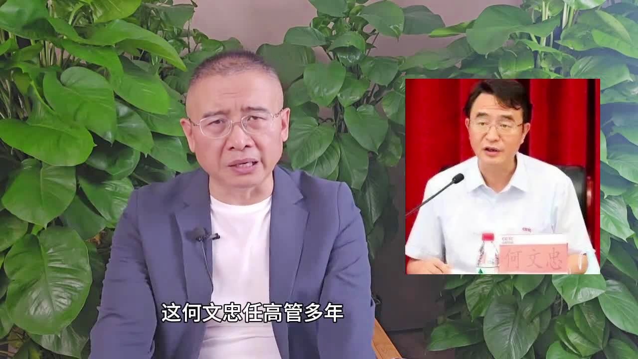 何文忠被双开，军工利益背后的故事揭秘