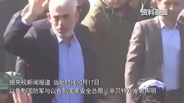 2004新澳精准资料免费_哈马斯领导人死前疑向无人机扔棍子,实地评估策略数据_限定版34.81.99