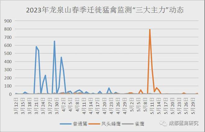 2024年澳门天天开奖记录_网红小英送养孩子属实 不构成行业,深入数据应用计划_HD58.45.31