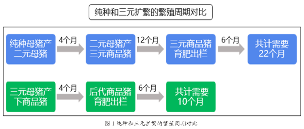 七嘴八舌 第5页