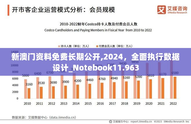 新澳2024正版免费资料,数据设计驱动解析_奢华集3.246