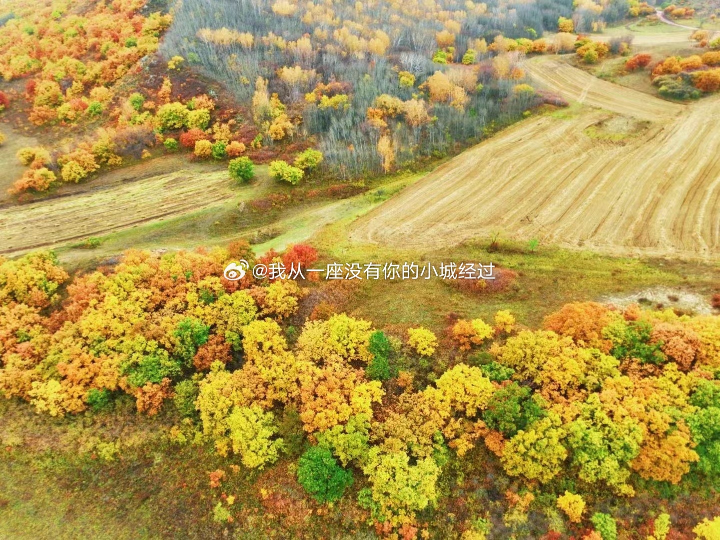 赏秋攻略指南，中国大地秋天的调色盘之旅