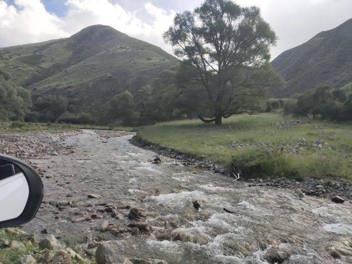 灰熊与河村勇辉双向奔赴，心灵之旅启程