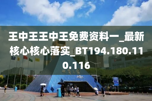 7777788888王中王中王,安全保障解析落实_模拟版97.859