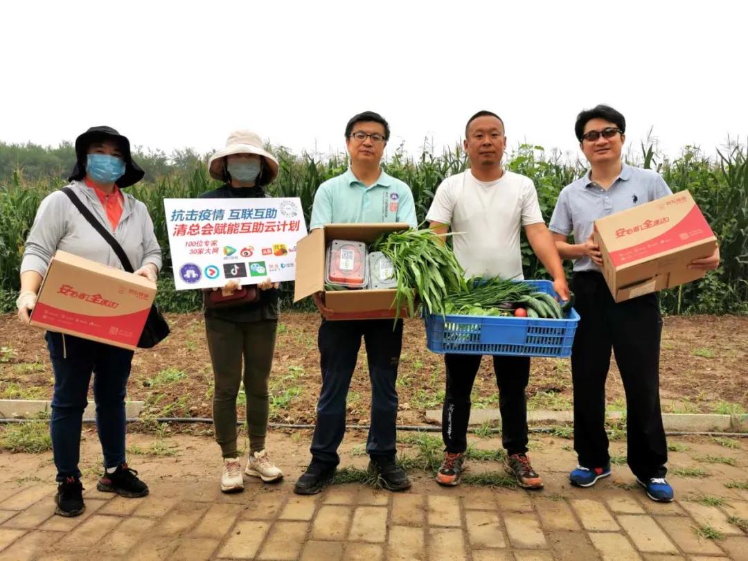 四川回应菜地被插违规事件，守护绿色家园，共创生态文明行动启动