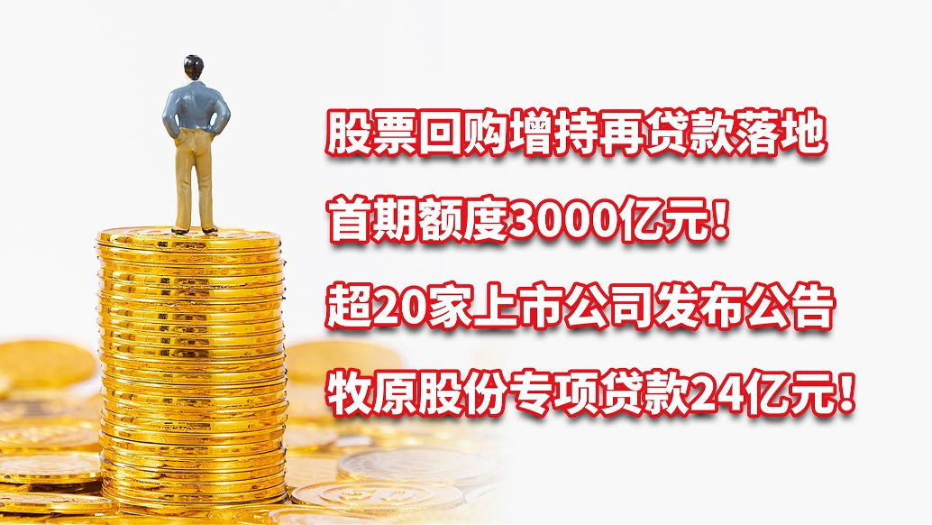 股票回购增持再贷款首期额度达3000亿，市场的新机遇与挑战分析