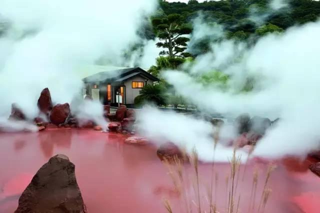 日本多地水体污染危机，挑战与改变的励志之旅