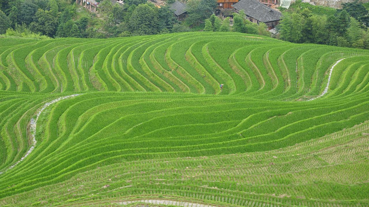 蝇营狗苟 第13页