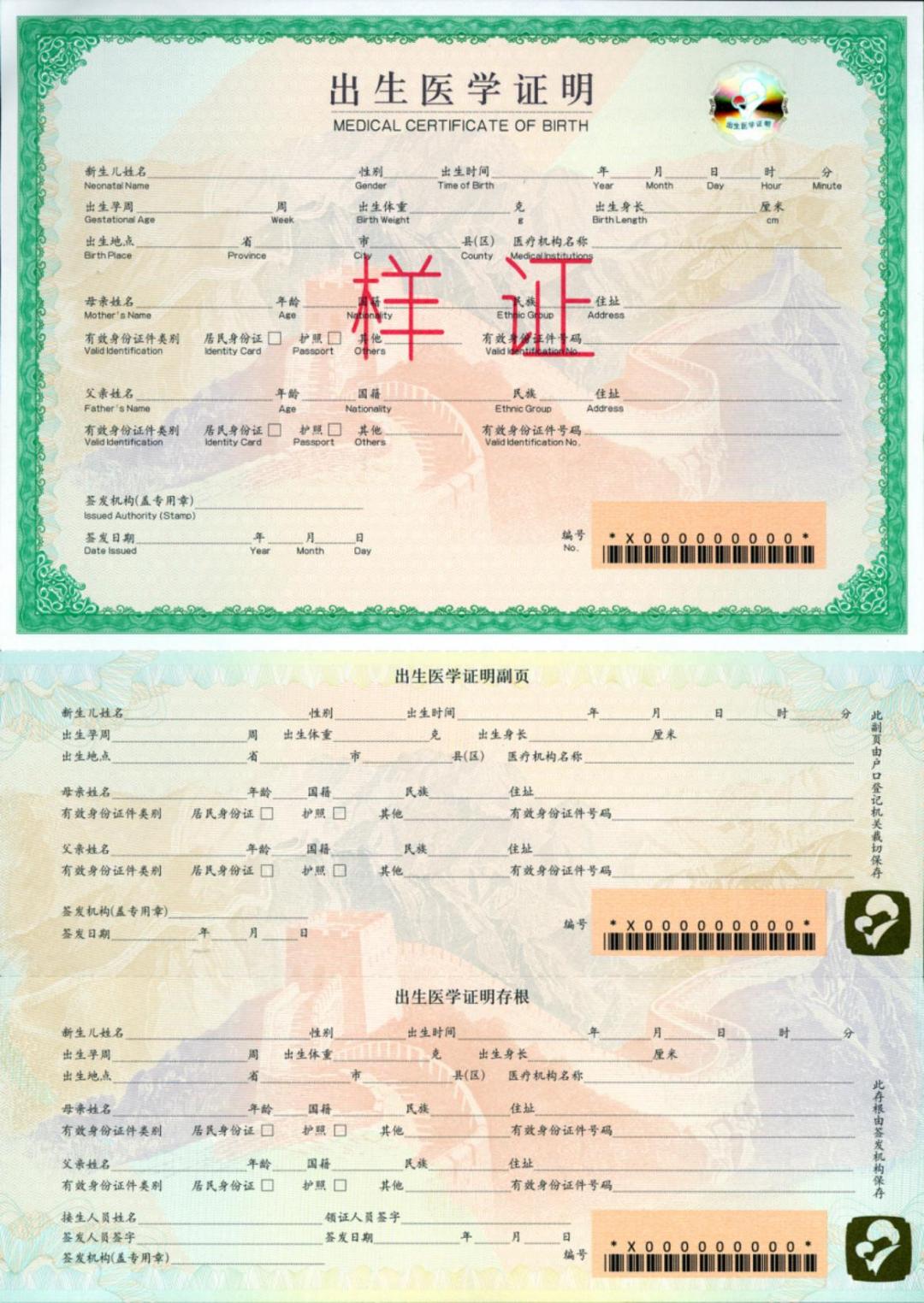 心三联和呼三联最新版，医学领域的革新与挑战探索