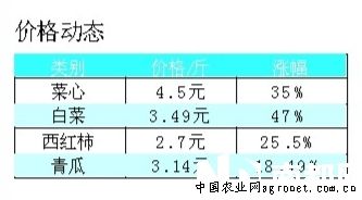 菜价查询，探索蔬菜价格变化的学习之旅，培养自信与成就感的源泉