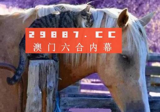 新澳门正版免费大全,拓展市场解析落实_高效款49.684