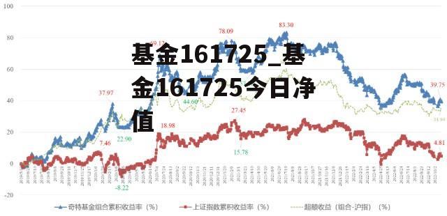 今日最新净值探讨，关于161725基金净值查询