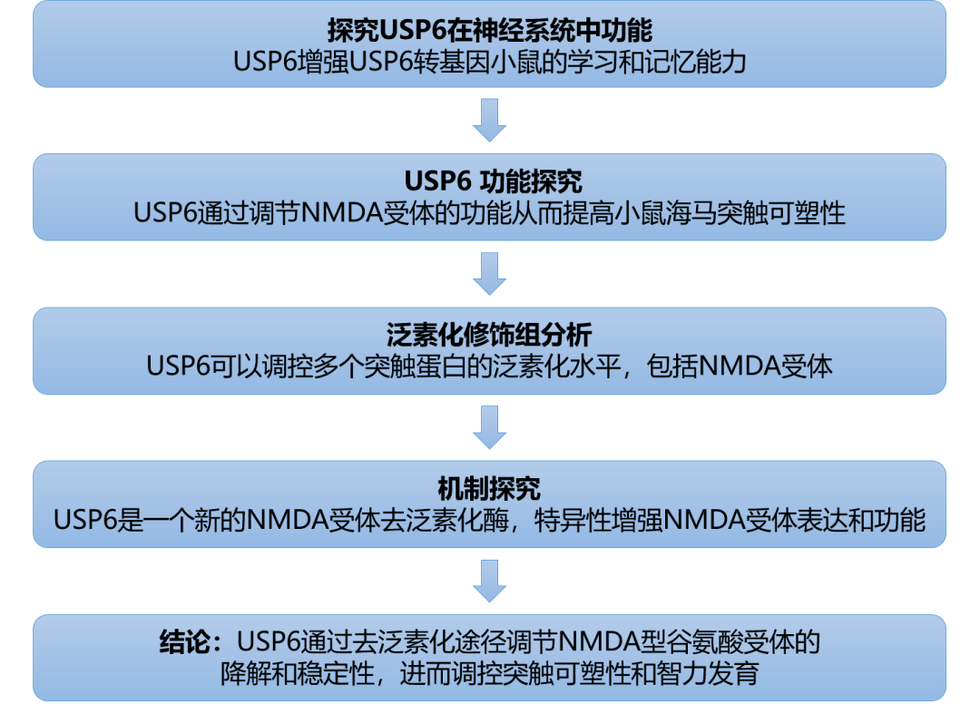 免费分享新澳精准资料第221期：ZCE335.08安全策略解析及解题攻略