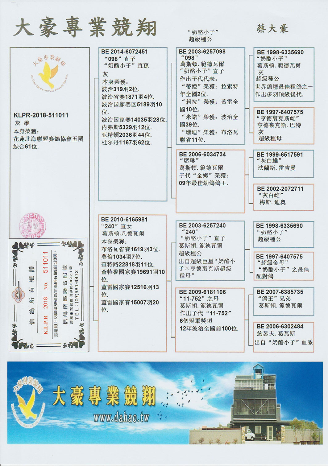 “二四六王中王资料解析：安全可靠版DPR731.93攻略”