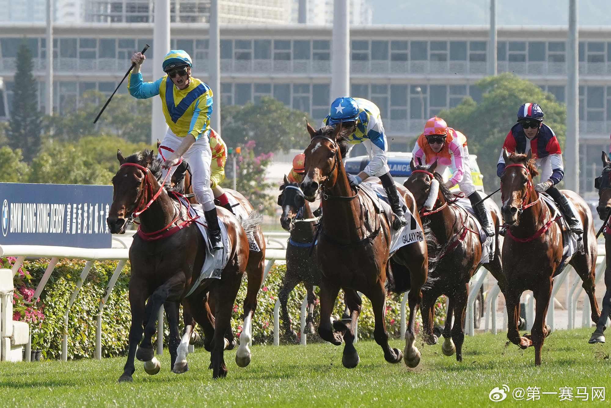 “2024澳门今晚举行特别马会，安全评估兼容策略CZY490.43版”