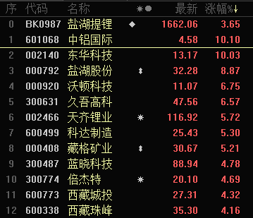 一码必中100%精确预测，管家婆精选大小中特，独家解析定义_YGO510.79版