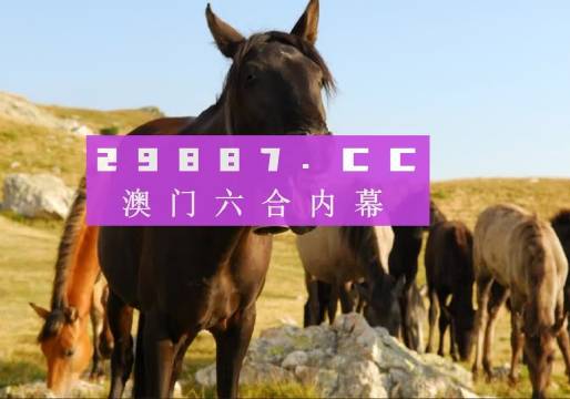 手游版UDO211.03：澳门管家婆资料一码一特一深度解读