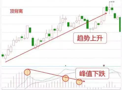 2024新澳天天彩免费资料详尽解析，主力版ZAU902.81深度解读