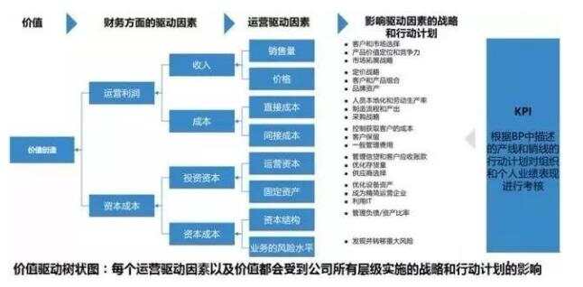 一码免费解析，全面公开策略解读_领航VMT162.85版