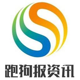 跑狗7777788888新版：网页版HVX382.97安全策略评估