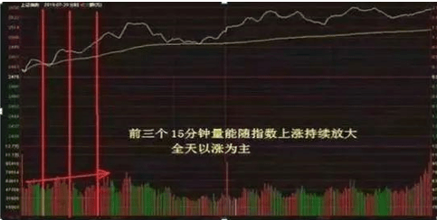 女子花800万托人炒股，是理性投资还是盲目冒险？