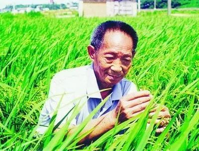 袁隆平，非洲农民的心灵导师与探索自然美景的启示