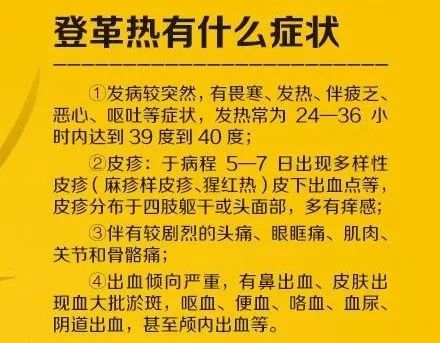 广东一周新增登革热病例达1770例，小城的爱与陪伴战胜疫情挑战的故事