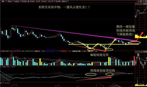 闻鸡起舞 第9页