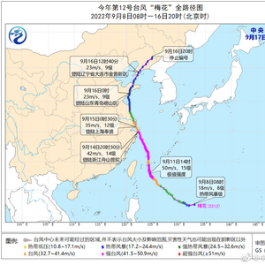 今年最新台风动态，影响及观点分析