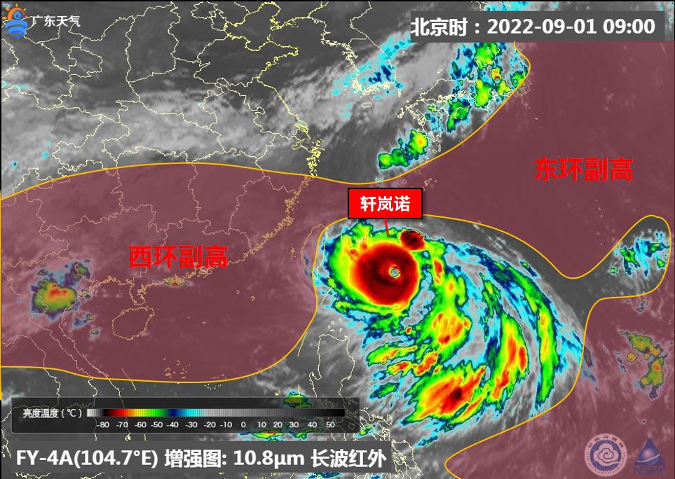 沉鱼落雁 第10页