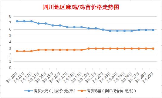 最新麻鸡价格概览，市场走势、影响因素与购买指南