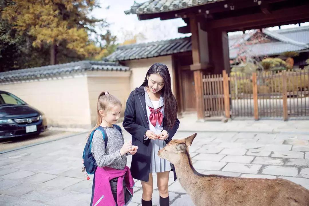 日本入境最新动态与探索自然美景的心灵之旅