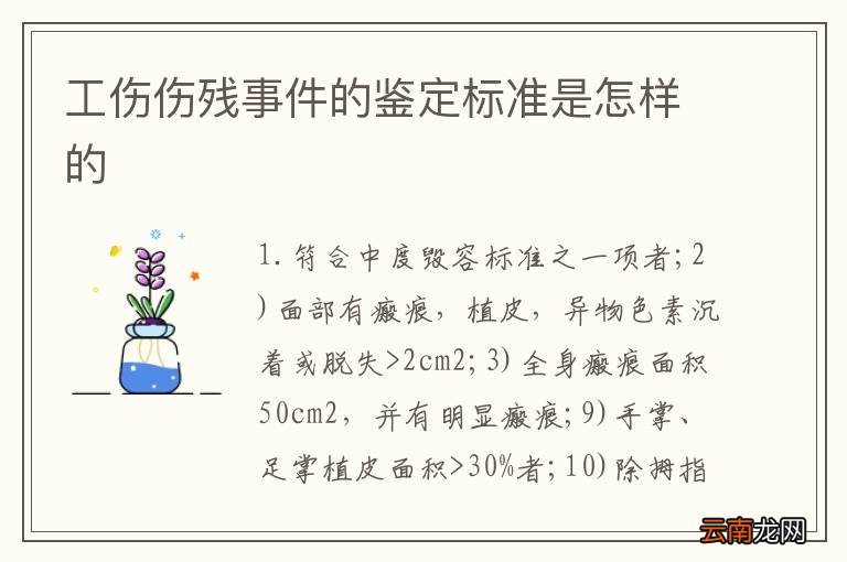 最新伤情鉴定标准及其步骤指南解析