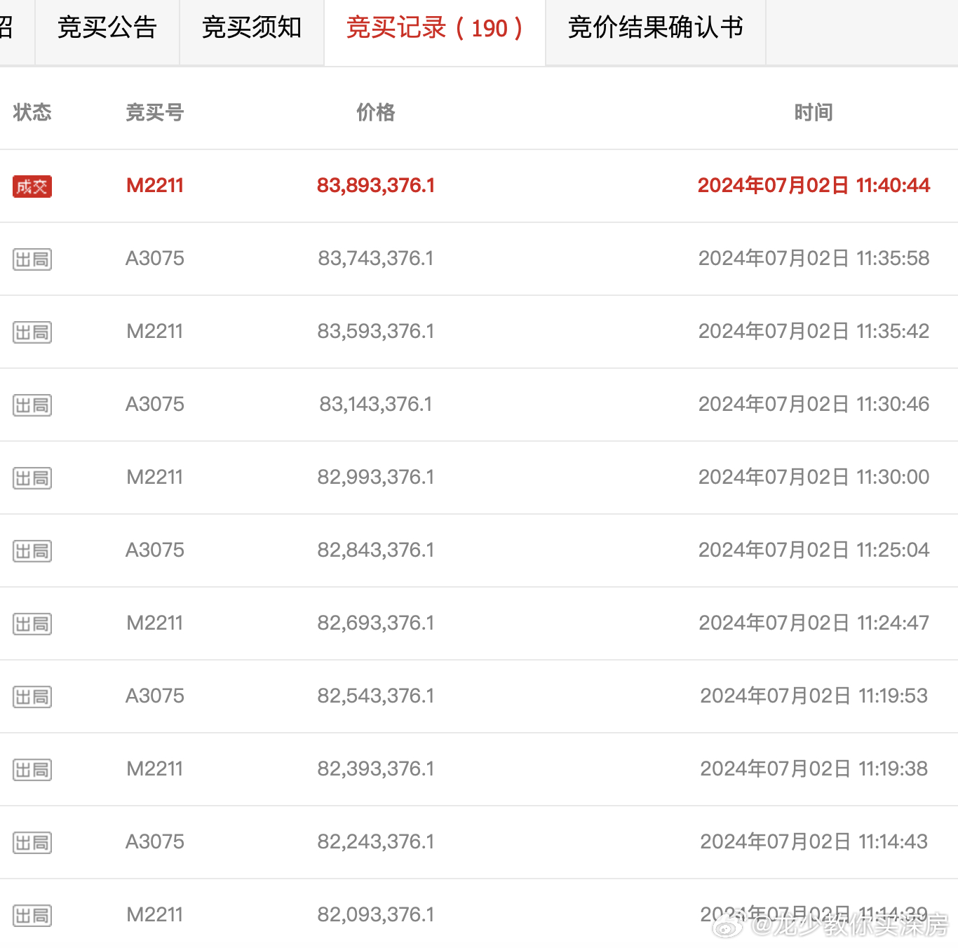 新疆最新拍卖公告详解，步骤指南与初学者进阶指南