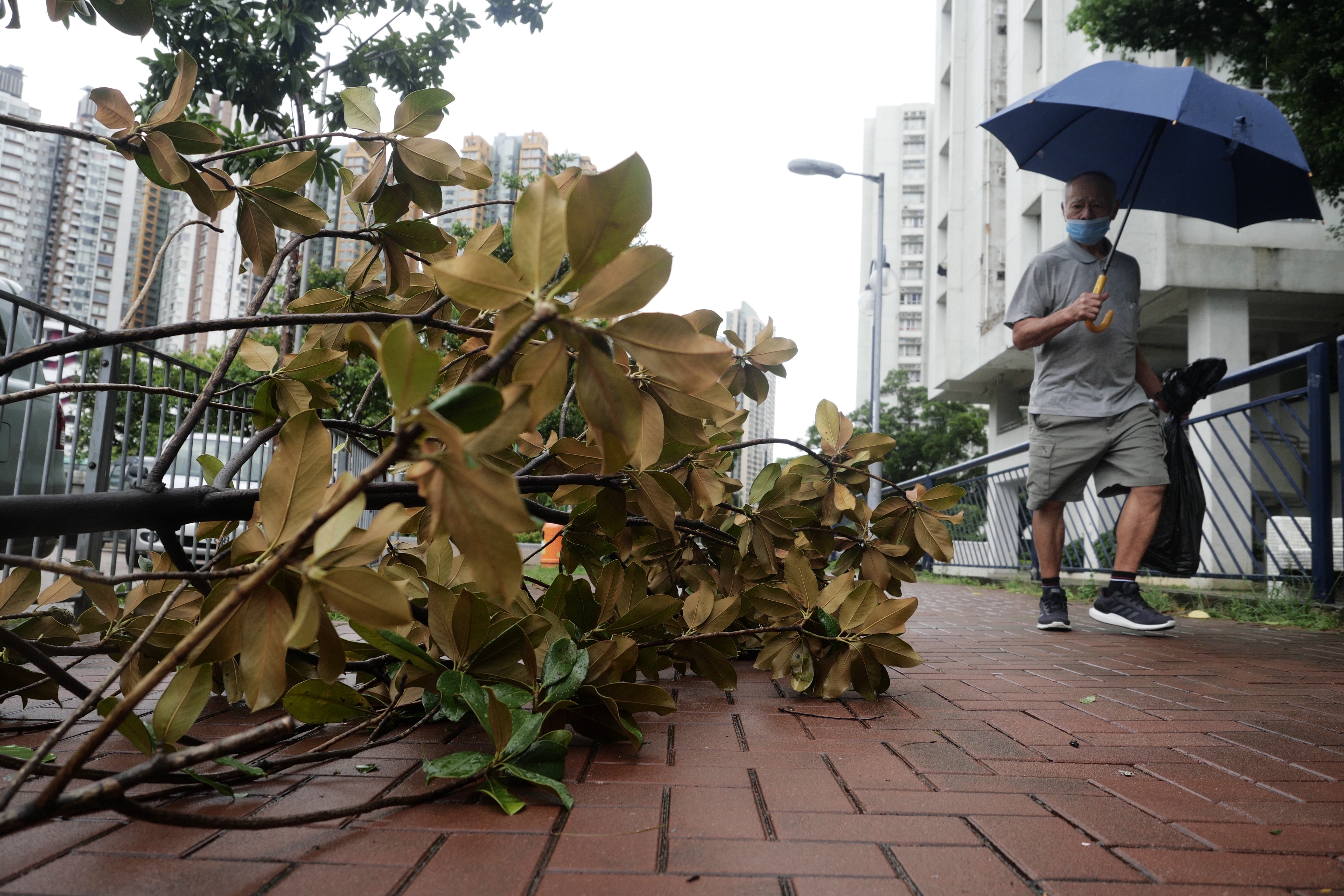 香港台风最新消息，风雨中的温馨日常故事